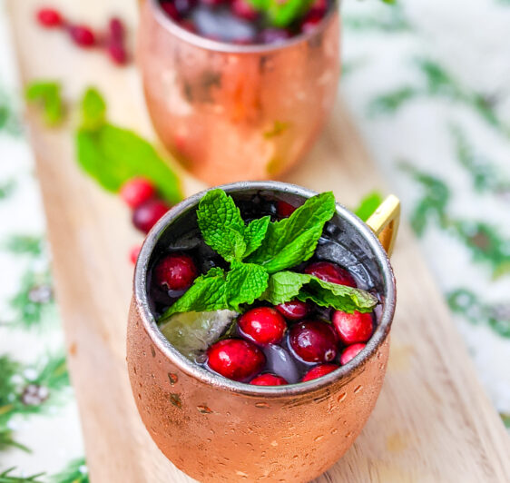 Spiced-and-Sparkling-Cranberry-Mule-4
